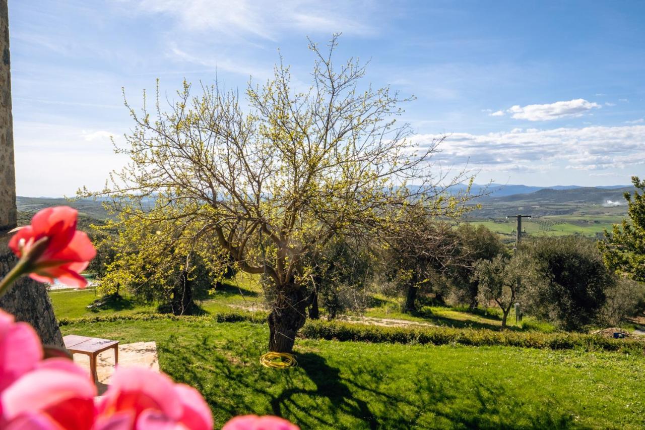 Podere Montale Il Borgo Seggiano Eksteriør bilde